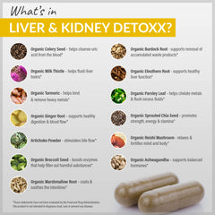 Herbal blend close-up: milk thistle and reishi