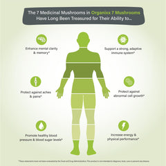 Illustration of the seven organic fermented mushrooms used in Organixx formula