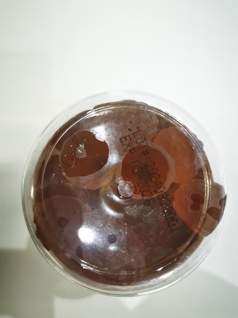 GMP-certified manufacturing facility