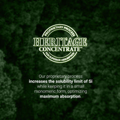 Back label with ingredients and nutrition facts for Orgono Living Silica