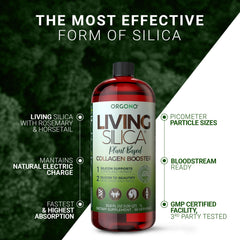 Graphic illustrating joint and bone health benefits of Orgono Living Silica