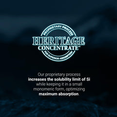 Joints and bones support from Orgono Living Silica