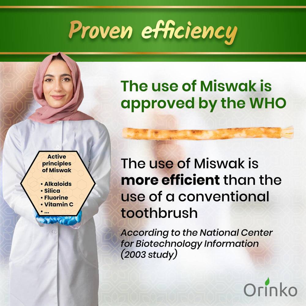 Natural Miswak fibers for dental cleaning