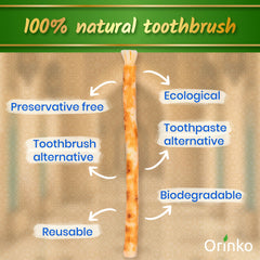 Close-up of Miswak fibers forming toothbrush-like bristles