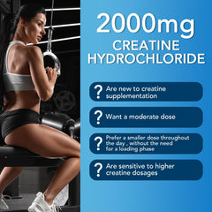 Blueberry-flavored Creatine HCL gummies close-up