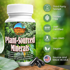 Graphic showing humic and fulvic acids for health