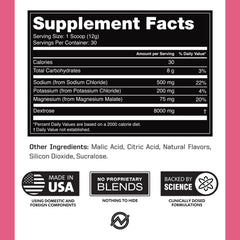 Outwork Nutrition Electrolytes Powder watermelon scoop shows easy-measure serving