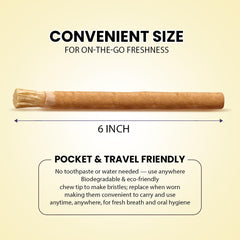 Pack of 10 Miswak toothbrushes