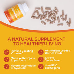 Amla berry vitamin C source