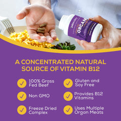 Nutrition highlights showing B12, CoQ10, and selenium