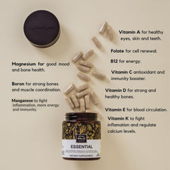 Illustration of vitamins D3, K2 MK7 and B12 for PALO Essential+