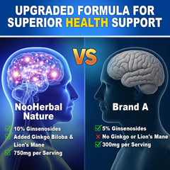 Ingredient blend graphic for Panax Ginseng, Ginkgo Biloba, Lions Mane