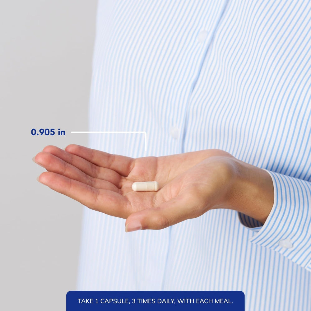 Digestive enzyme blend illustration: amylase, lipase, and protease