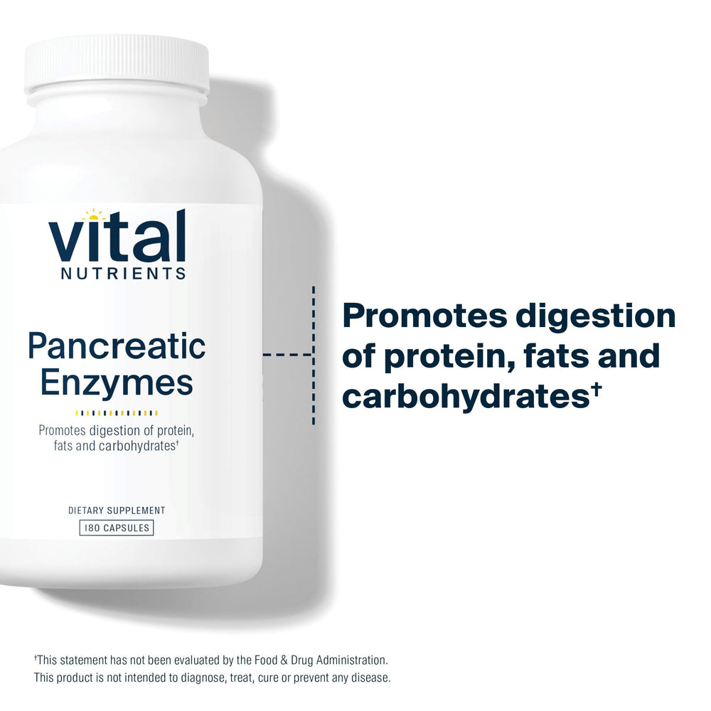 Illustration of pancreatin digestive enzymes: protease, amylase and lipase