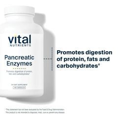 Illustration of pancreatin digestive enzymes: protease, amylase and lipase