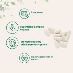 Pantothenic acid B5 supporting energy production and nervous system