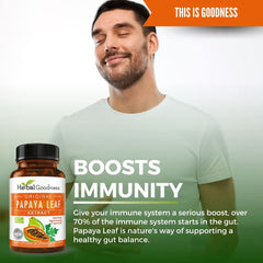 Papaya leaf extract visualizing blood health and platelet support