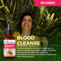 Digestive enzymes concept illustrating blood support