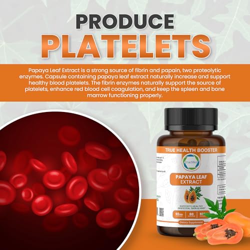 Ingredients list for Papaya Leaf Extract 500 mg