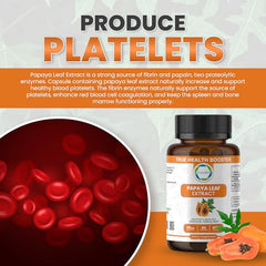 Ingredients list for Papaya Leaf Extract 500 mg