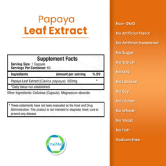 Antioxidant-rich Papaya Leaf Extract visual