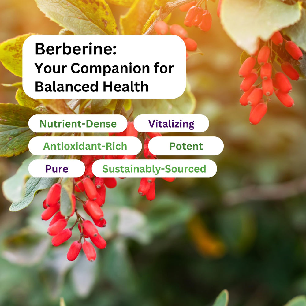 Recommended dosage for Paradise Herbs Berberine Extract