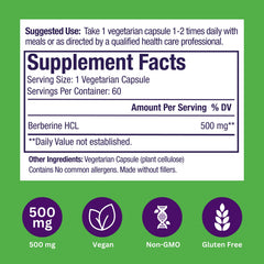 Berberine supplement concept and formulation