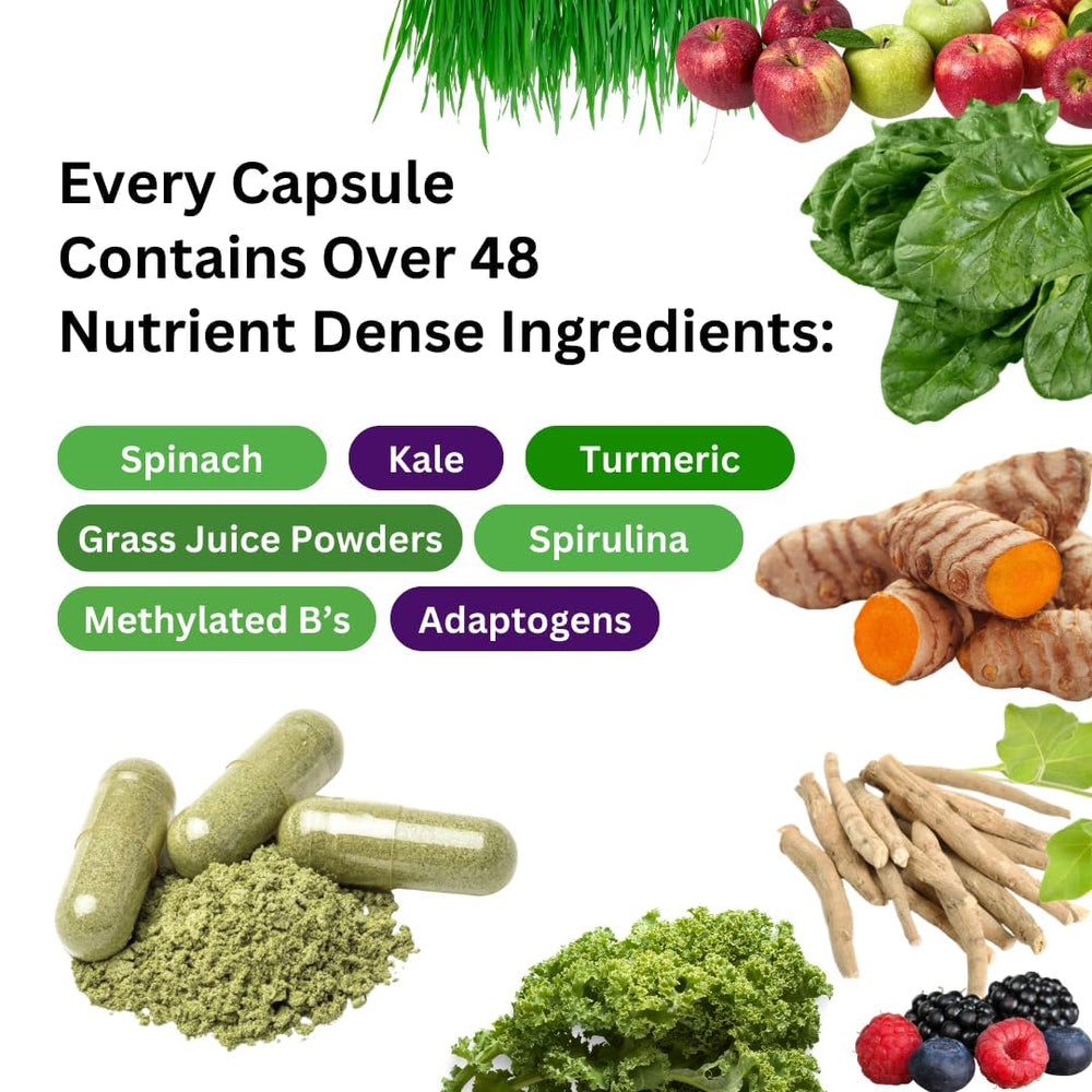 Illustration of 48 organic superfoods included in Earth's Blend