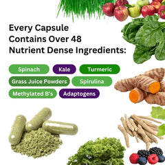 Illustration of 48 organic superfoods included in Earth's Blend