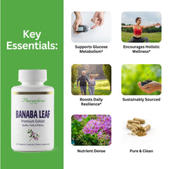 Paradise Herbs Banaba Leaf 12:1 Extract product hero image