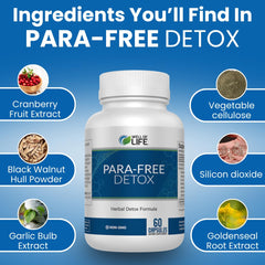 Para-Free Detox ingredients blend in a bowl signaling a holistic wellness ritual