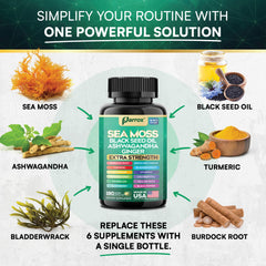 Parrox Sea Moss capsules with Ginger and Manuka imagery