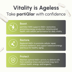partiQlar NMN 500mg capsules close-up