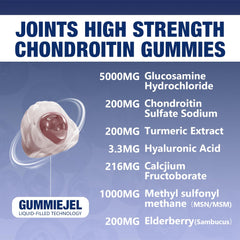 Close-up of ingredients glucosamine, chondroitin, MSM on packaging