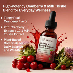 Pavintrix Kidney Cleanse Drops packaging shown on a shelf.