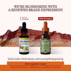 Illustration of Peak Defense ingredients: goldenseal, echinacea angustifolia, and yarrow