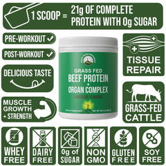 Peak Performance muscle-building concept image — protein support for strength and lean mass goals.