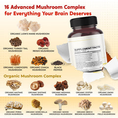 Illustration of focus and energy benefits from PeakPury