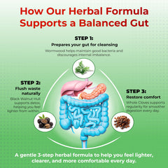 Illustration of key ingredients: wormwood, black walnut hull, cloves, ginger