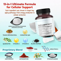 Illustration of mitochondria highlighting cellular energy support