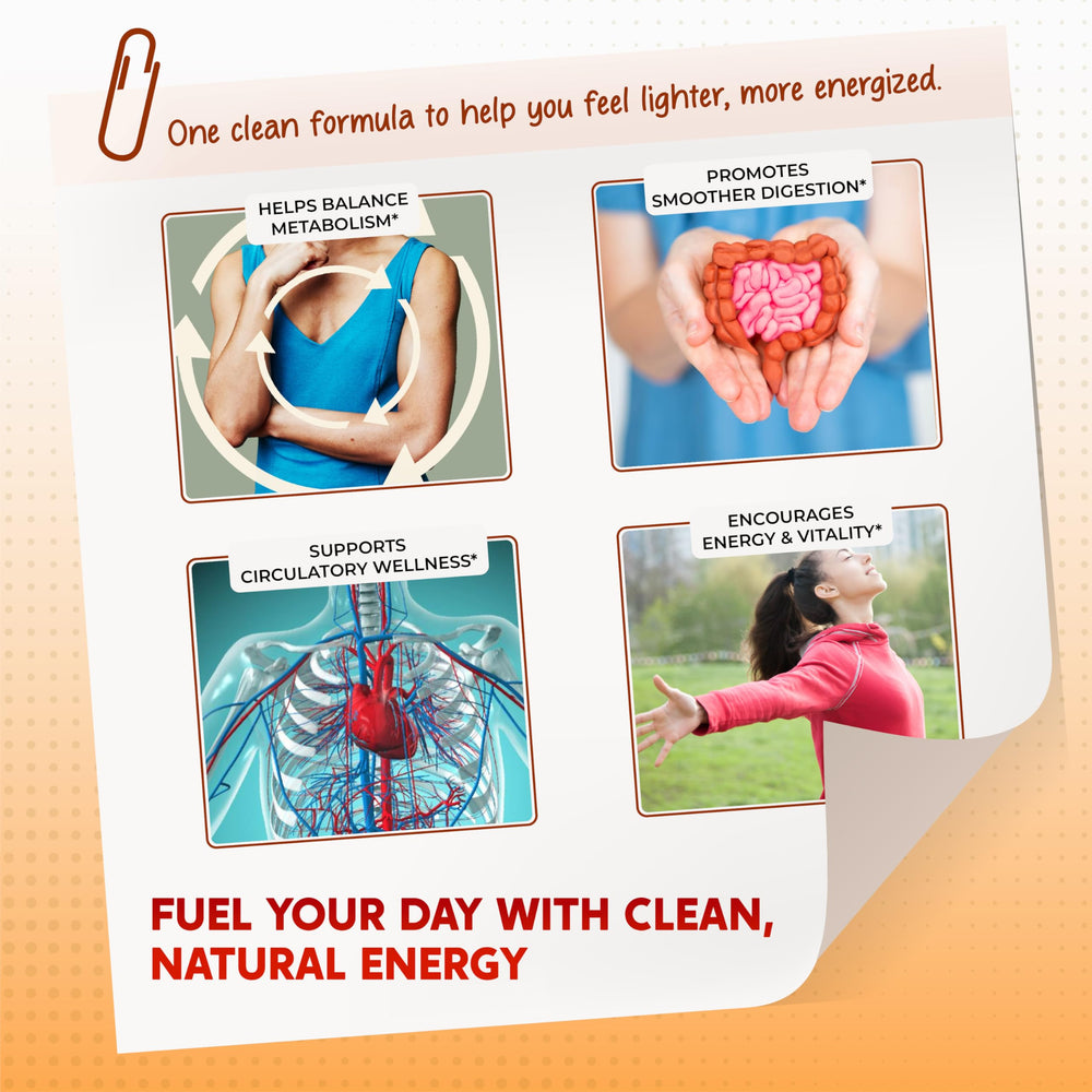 Illustration showing Cinnamon, Apple Cider Vinegar, Berberine and Ginger ingredients