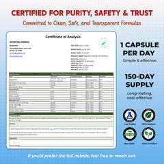 Executive at desk using PEAKPURY for focus