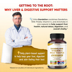 Illustration of ingredients: dandelion, milk thistle, artichoke and vitamin C