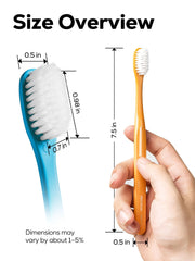 PECTRUS toothbrushes color option 2