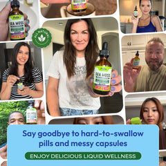Lifestyle scene showing daily wellness routine with sea moss drops