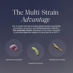 Illustration of Akkermansia muciniphila and other probiotic strains