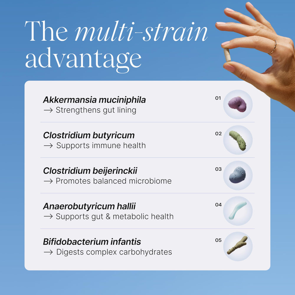 Close-up of multi-strain probiotic capsules