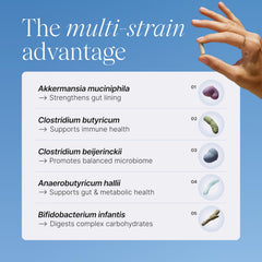 Close-up of multi-strain probiotic capsules