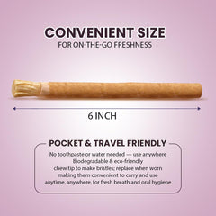 Person brushing teeth with a traditional Miswak toothbrush