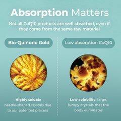 Air-tight blister packaging for CoQ10 capsules